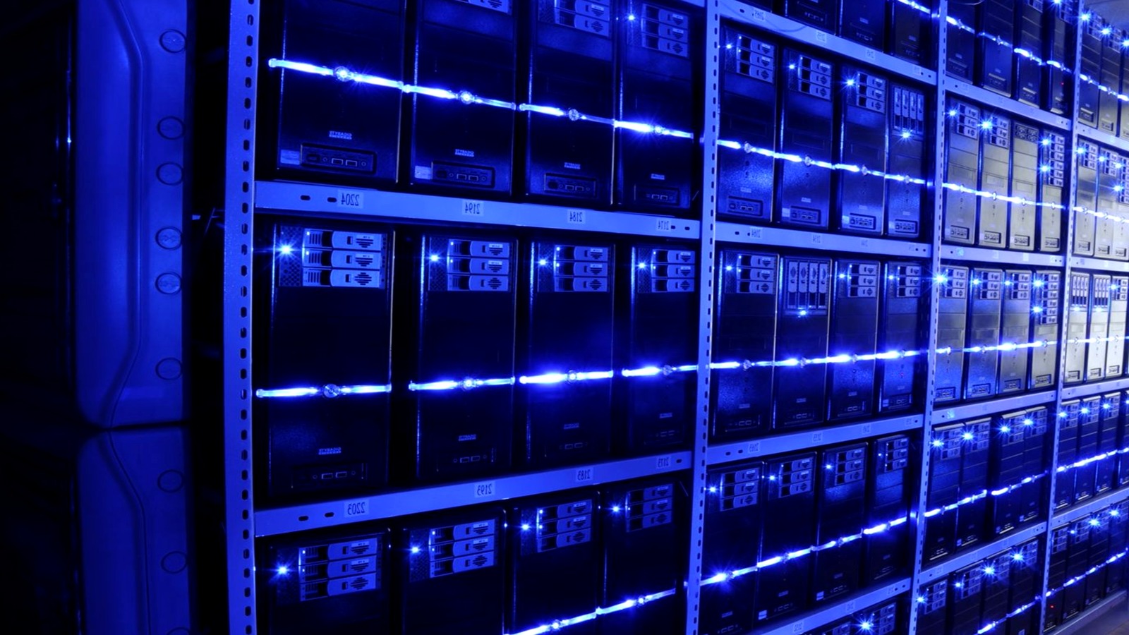 Business presentation session for international partnership planning