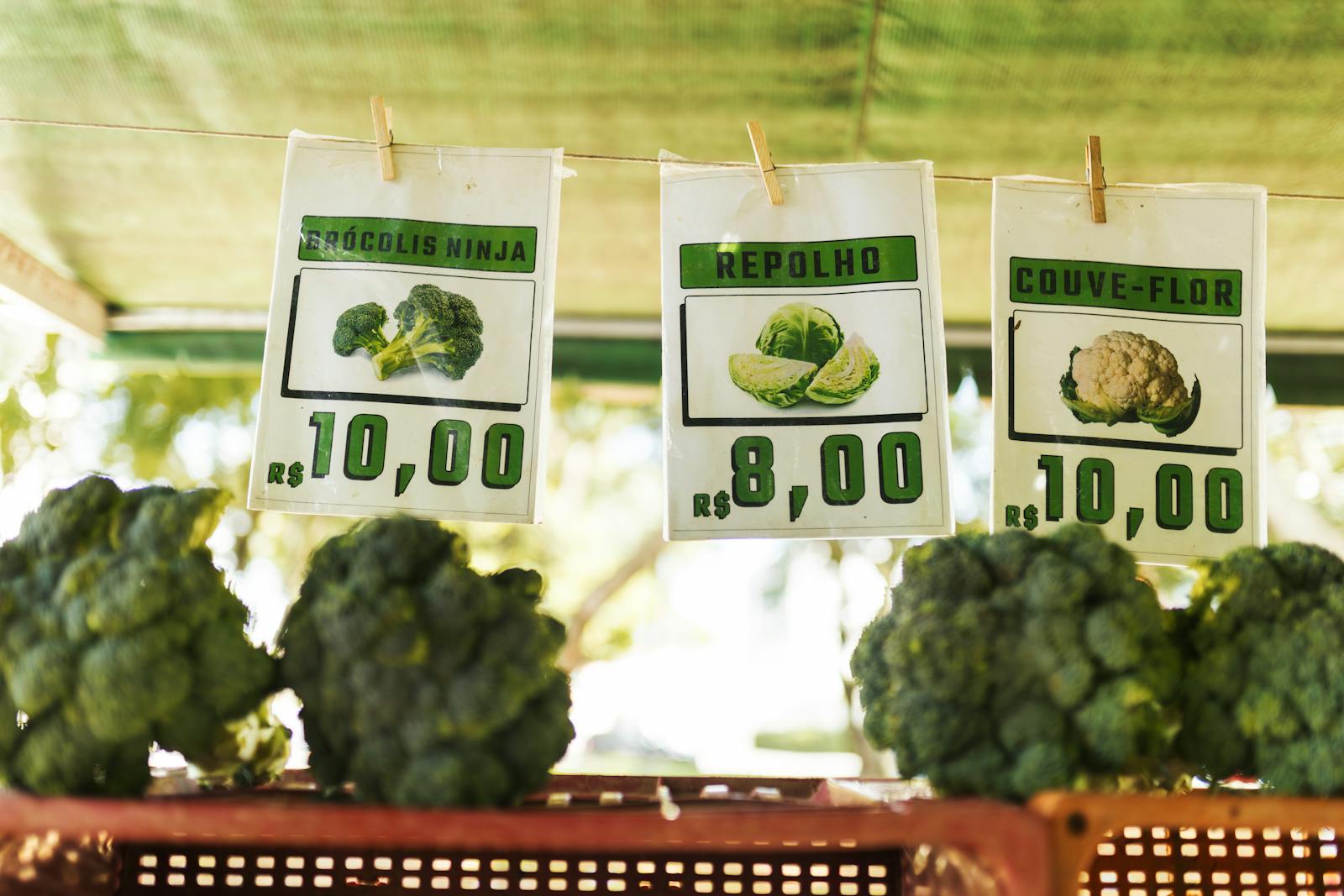 Agricultural produce visual representing South Asia to GCC trade corridor